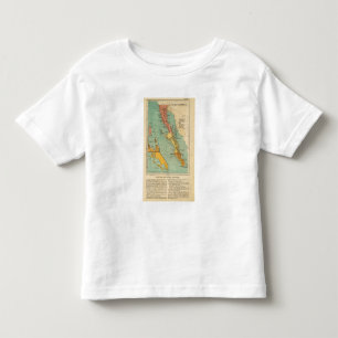 Baja California, Mexico Toddler T-shirt