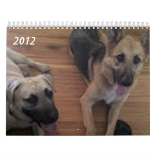 Baja/Hercules Calendar