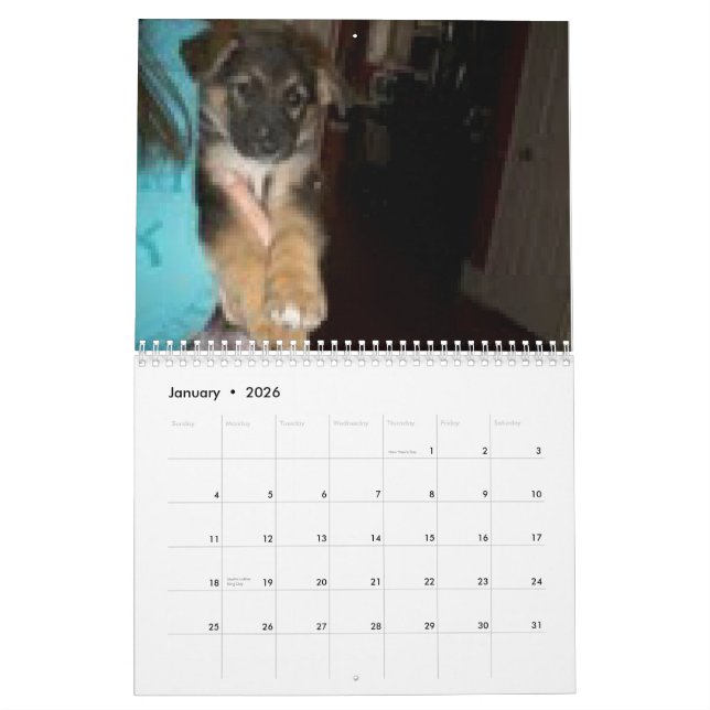 Baja/Hercules Calendar (Jan 2026)