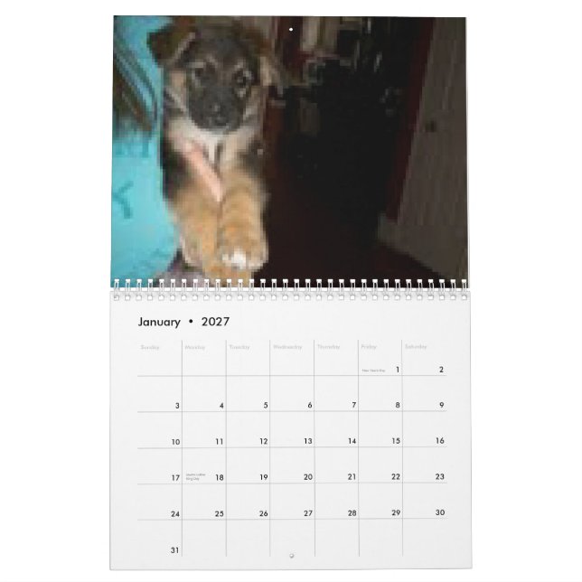 Baja/Hercules Calendar (Jan 2027)