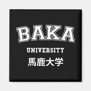 BAKA UNIVERSITY MAGNET