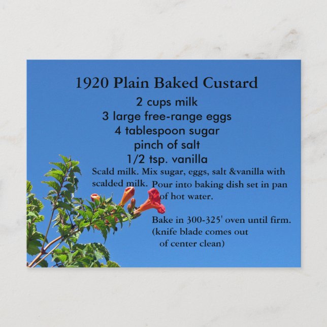 Baked Custard Recipe Postcard (Front)