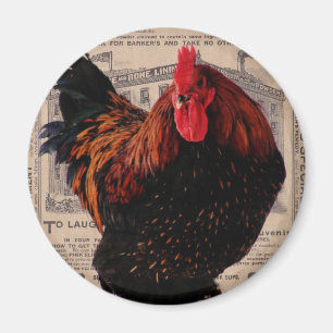 Baker's Special Poultry Magnet