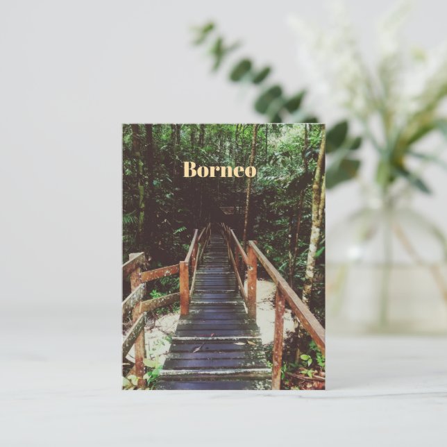 Bako National Park - Borneo Postcard (Standing Front)