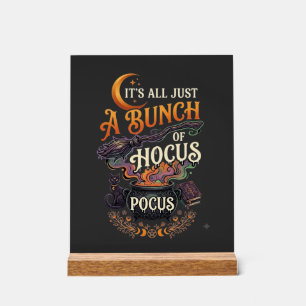 Balai de sorcière Hocus Pocus Chat noir Chaudron m