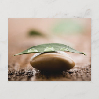 Balance carte postale