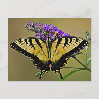 balance postcard