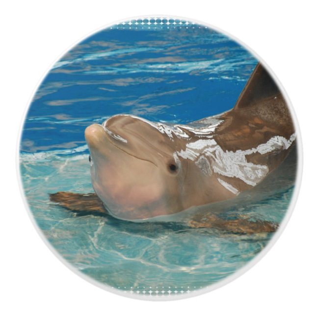 Balancing Dolphin Ceramic Knob (Front)