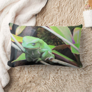Balancing Frog Lumbar Pillow