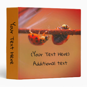 Balancing Ladybugs Nature Personalized Binder