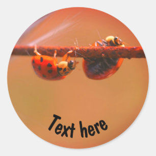 Balancing Ladybugs Nature Personalized Classic Round Sticker