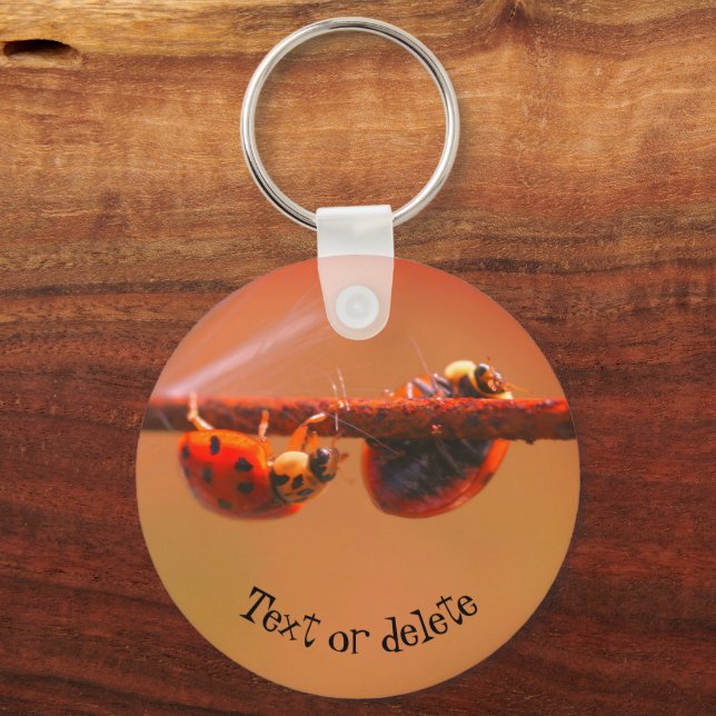Balancing Ladybugs Nature Personalized Keychain (Front)