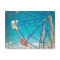 Balboa Ferris Wheel