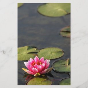balboa park Lily stationary Stationery