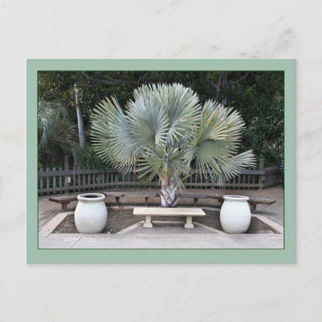 Balboa Park Scene Reminiscent of Maxfield Parrish Postcard (Front)