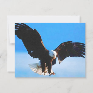 Bald American Eagle