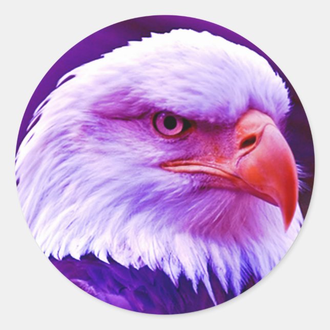 Bald American Eagle Classic Round Sticker (Front)