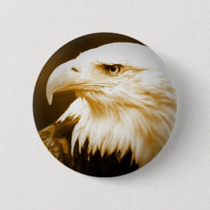 Bald American Eagle Eye 2 Inch Round Button