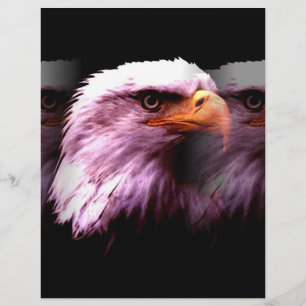 Bald American Eagle Flyer