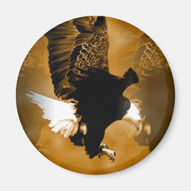 Bald American Eagle in Flight Magnet (Front)
