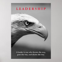 Bald American Eagle Leadership