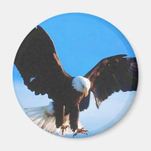 Bald American Eagle Magnet