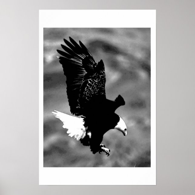 Bald American Eagle Poster Print BW Eagles Posters (Front)