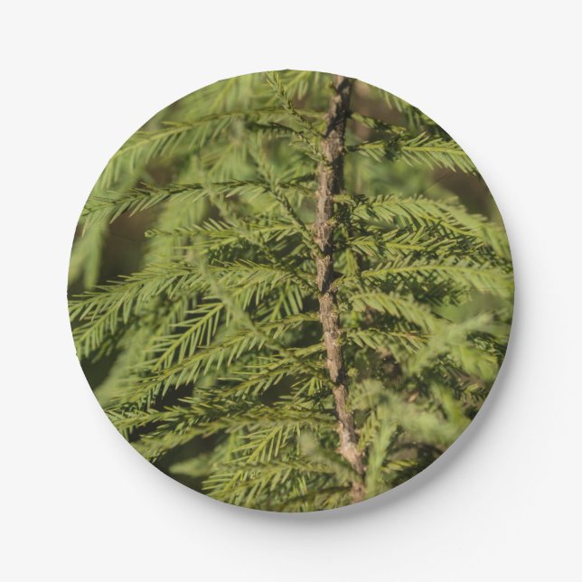Bald Cypress Branch Paper Plate (Front)