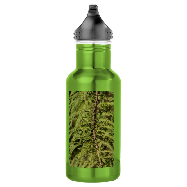 Bald Cypress Branch Water Bottle (Right)