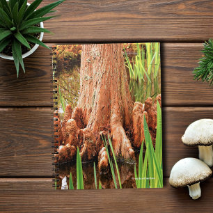 Bald Cypress Knees Notebook
