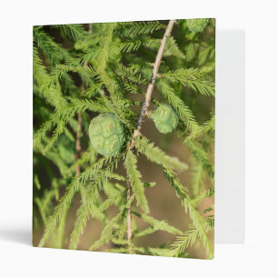 Bald Cypress Seed Cone Binder