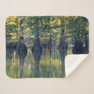 Bald Cypress Trees   Horseshoe Lake Illinois Sherpa Blanket