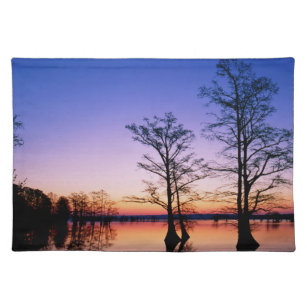 Bald Cypress Trees   National Wildlife Refuge, TN Placemat