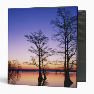 Bald cypress trees silhouetted at sunset, binder