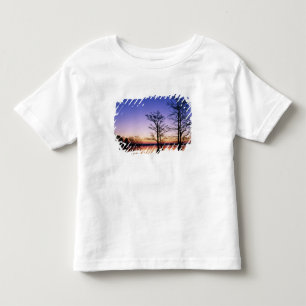 Bald cypress trees silhouetted at sunset, toddler t-shirt