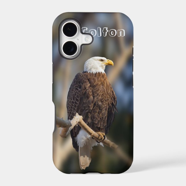 Bald Eagle (Back)