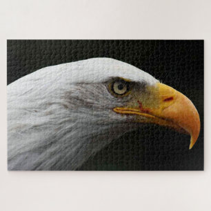 Bald Eagle 20x30 1014pc jpcnm Jigsaw Puzzle