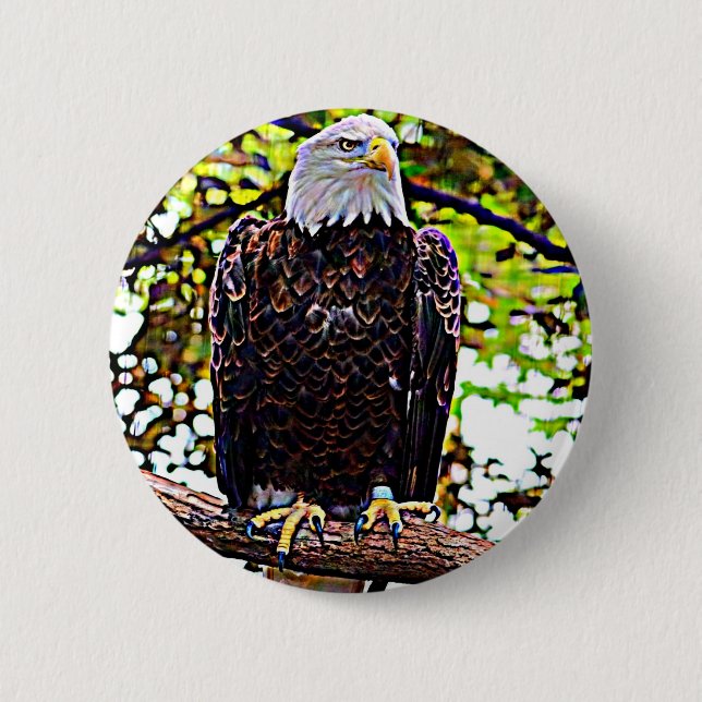 Bald Eagle 2 Inch Round Button (Front)