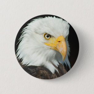 Bald Eagle 2 Inch Round Button