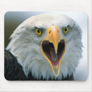 Bald Eagle #2-Mousepad Mouse Pad