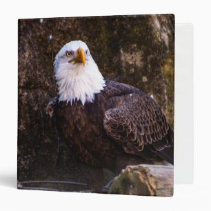Bald Eagle 3 Ring Binder
