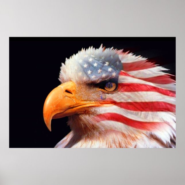 Bald Eagle 4 juillet affiche 13 (Devant)