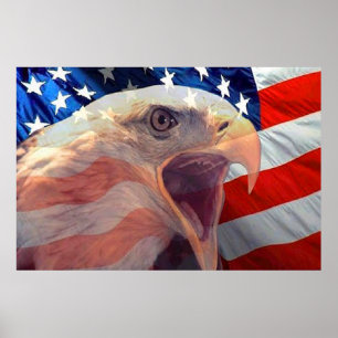 Bald Eagle 4 juillet affiche 4