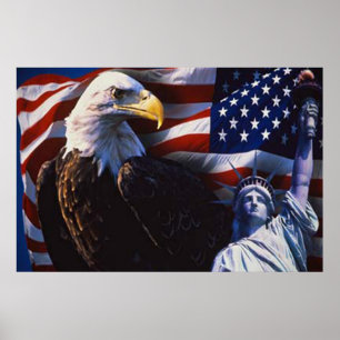 Bald Eagle 4 juillet affiche 5