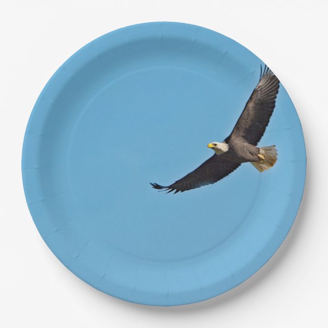 Bald Eagle 7 Paper Plate (Front)