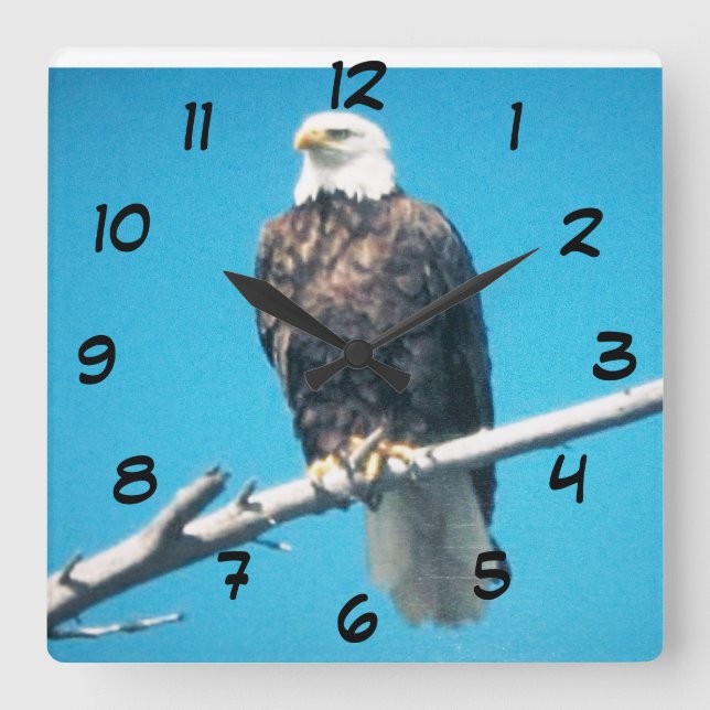 Bald Eagle Acrylic Wall Clock (Front)