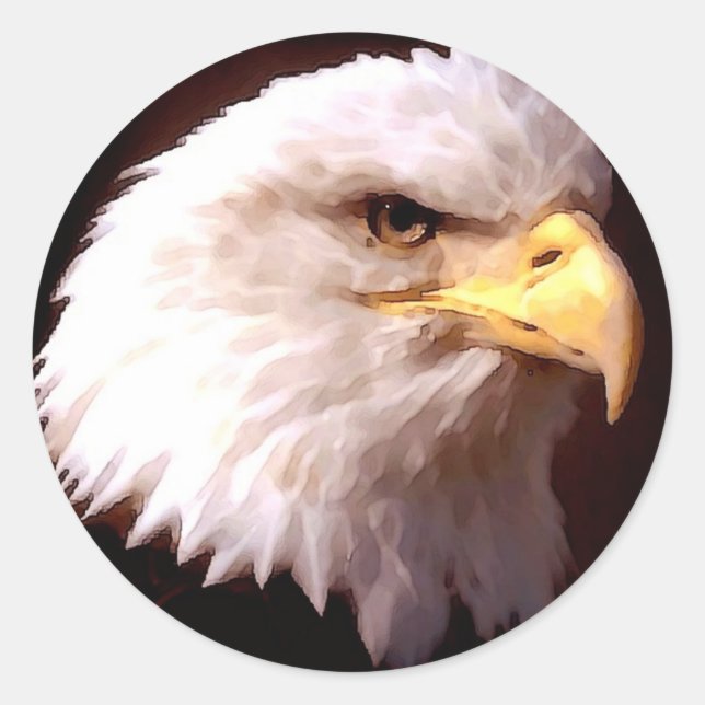 Bald Eagle American Eagle Classic Round Sticker (Front)