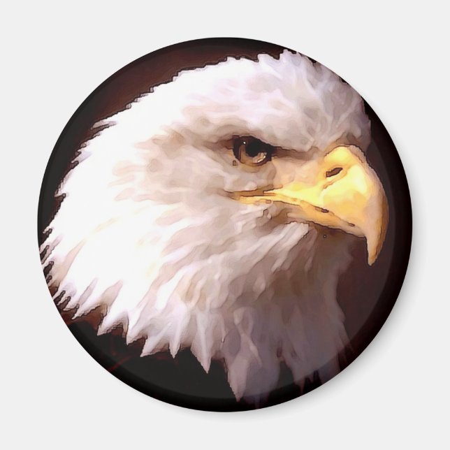 Bald Eagle American Eagle Magnet (Front)