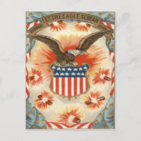 Bald Eagle American Flag Shield Fireworks