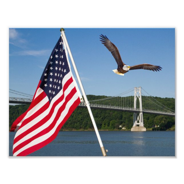 Bald Eagle (American Pride) Photo Print (Front)